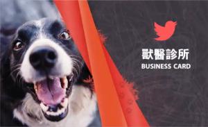 獸醫診所名片 - 線上獸醫診所名片製作範本